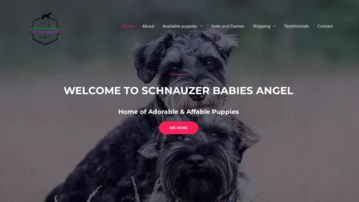 A screenshot of Schnauzerangelbabies.com