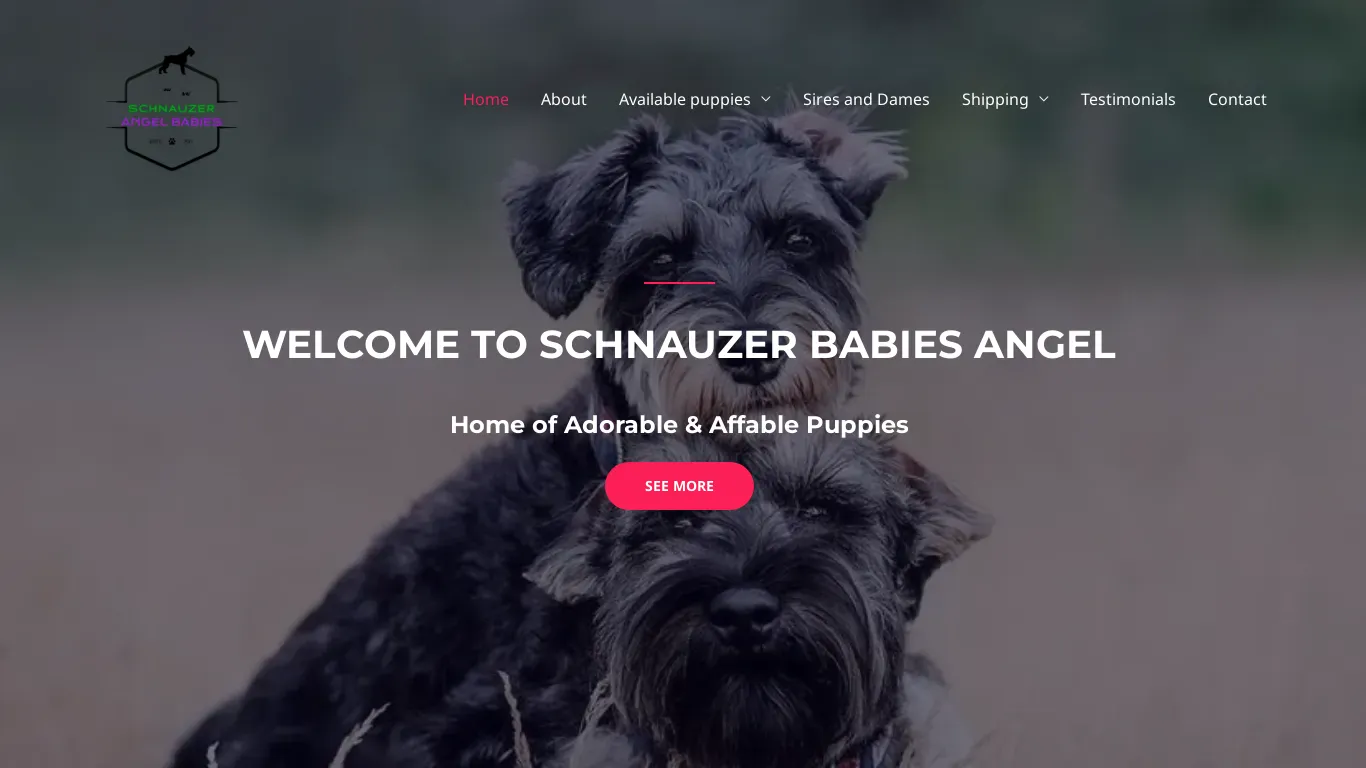 is Home - Schnauzer Angel Babies legit? screenshot