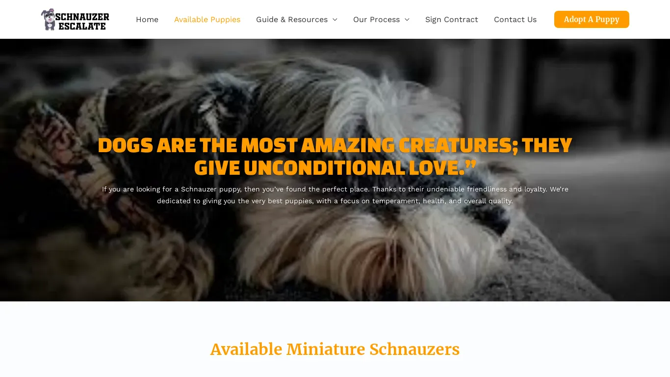 is schnauzerescalate.com legit? screenshot