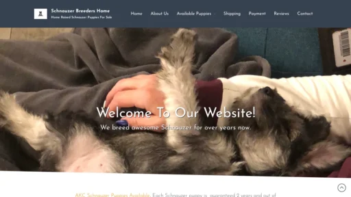 A screenshot of Schnauzergreatpuppies.com