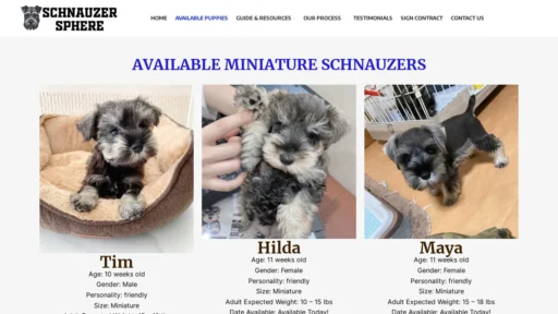A screenshot of Schnauzersphere.com