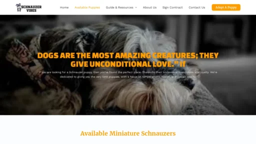A screenshot of Schnauzervibes.com