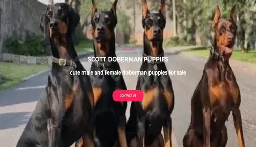 A screenshot of Genlanfamilystbernard.com