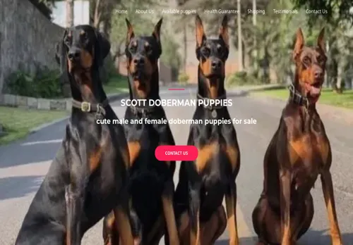 is scottdobbermanpuppies.com legit? screenshot