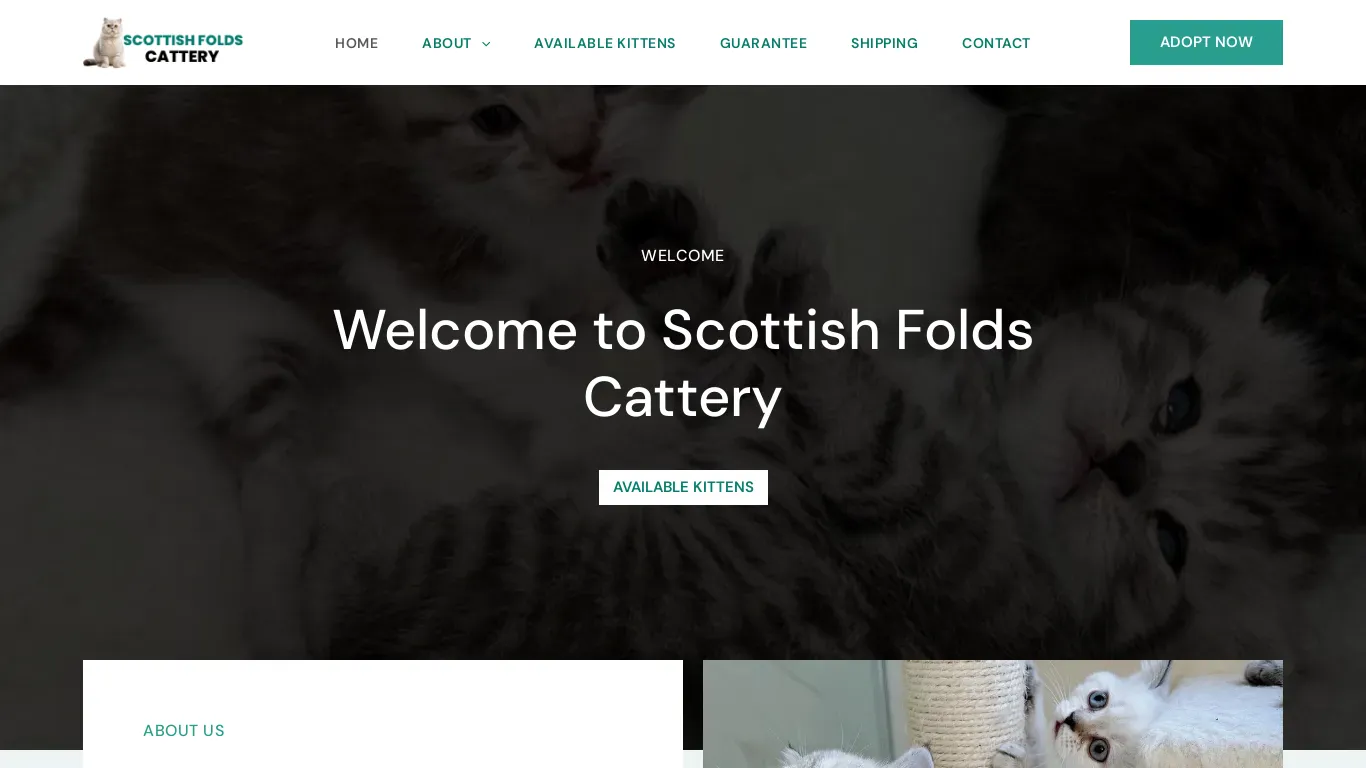 A screenshot of Scottishfoldscattery.com