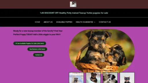 A screenshot of Seddenteacupyorkie.com