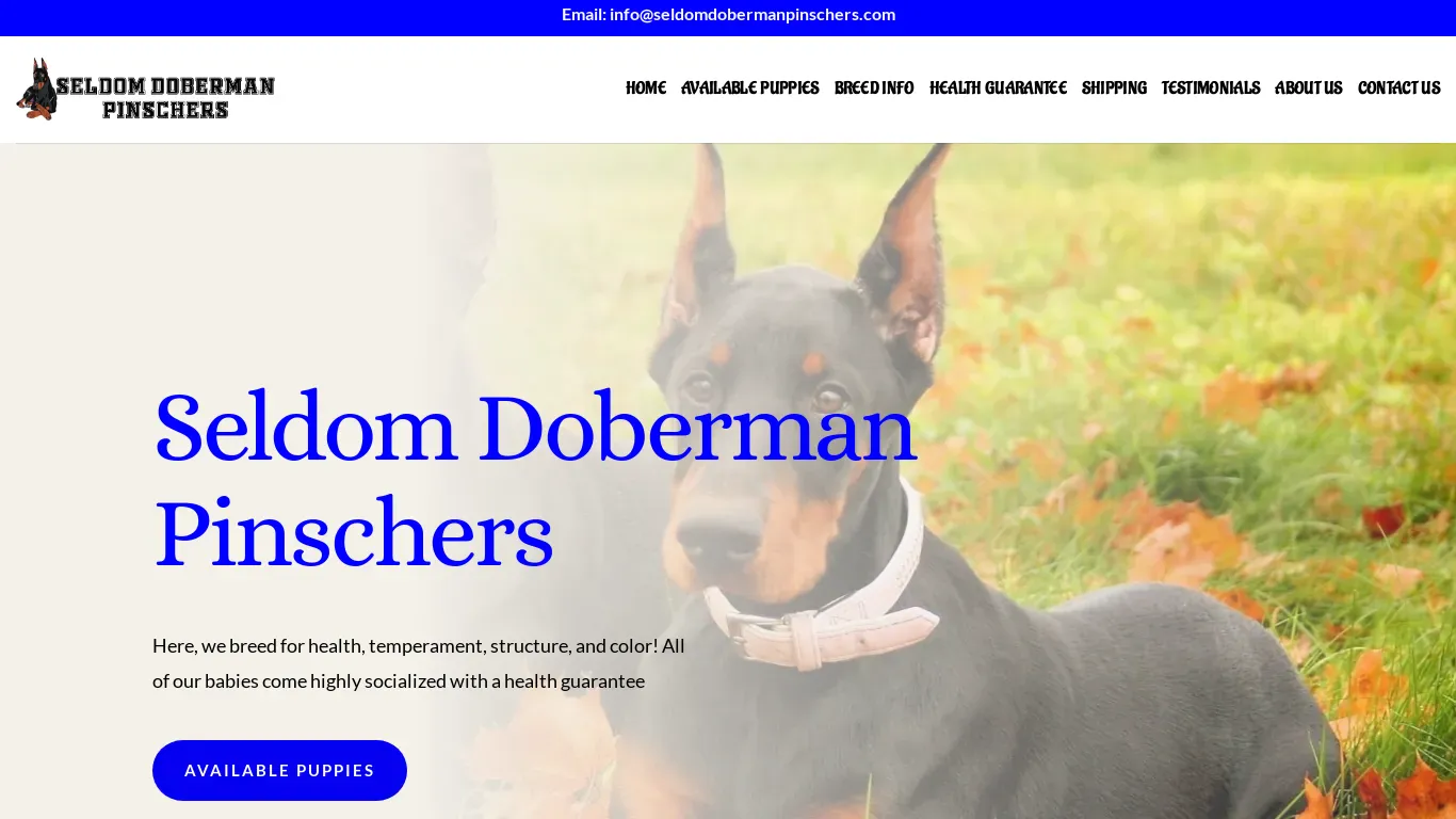 is Seldom Doberman Pinchers – Home of Doberman Puppies For Sale legit? screenshot