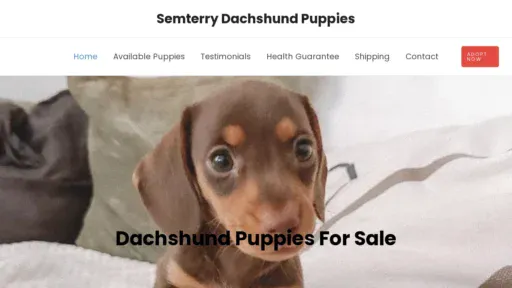 A screenshot of Semterrydachshundpuppies.com