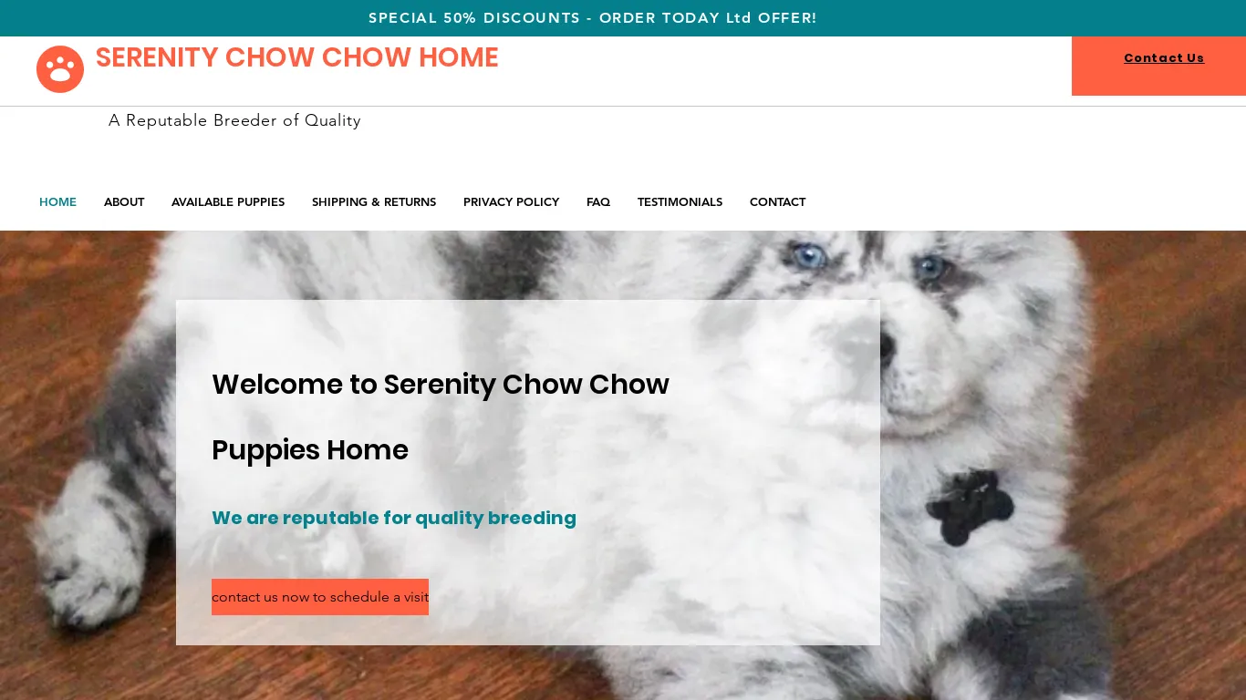 is Serenity Chow Chow puppies Home | chow chow puppies for sale legit? screenshot