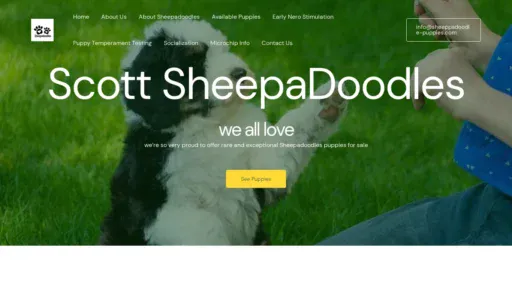 A screenshot of Sheeppadoodle-puppies.com
