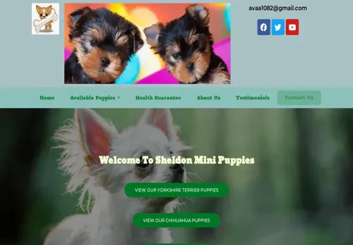 is sheldonminipuppies.com legit? screenshot