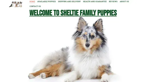A screenshot of Sheltiefamilypuppies.com