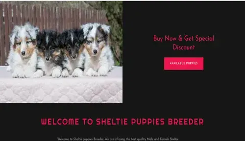 A screenshot of Genlanfamilystbernard.com