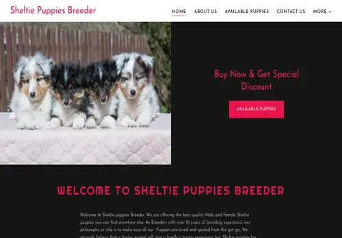 is sheltiepuppiesbreeder.com legit? screenshot