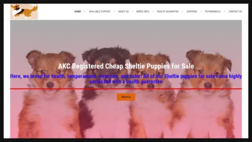 A screenshot of Sheltiepuppiesforadoption.com