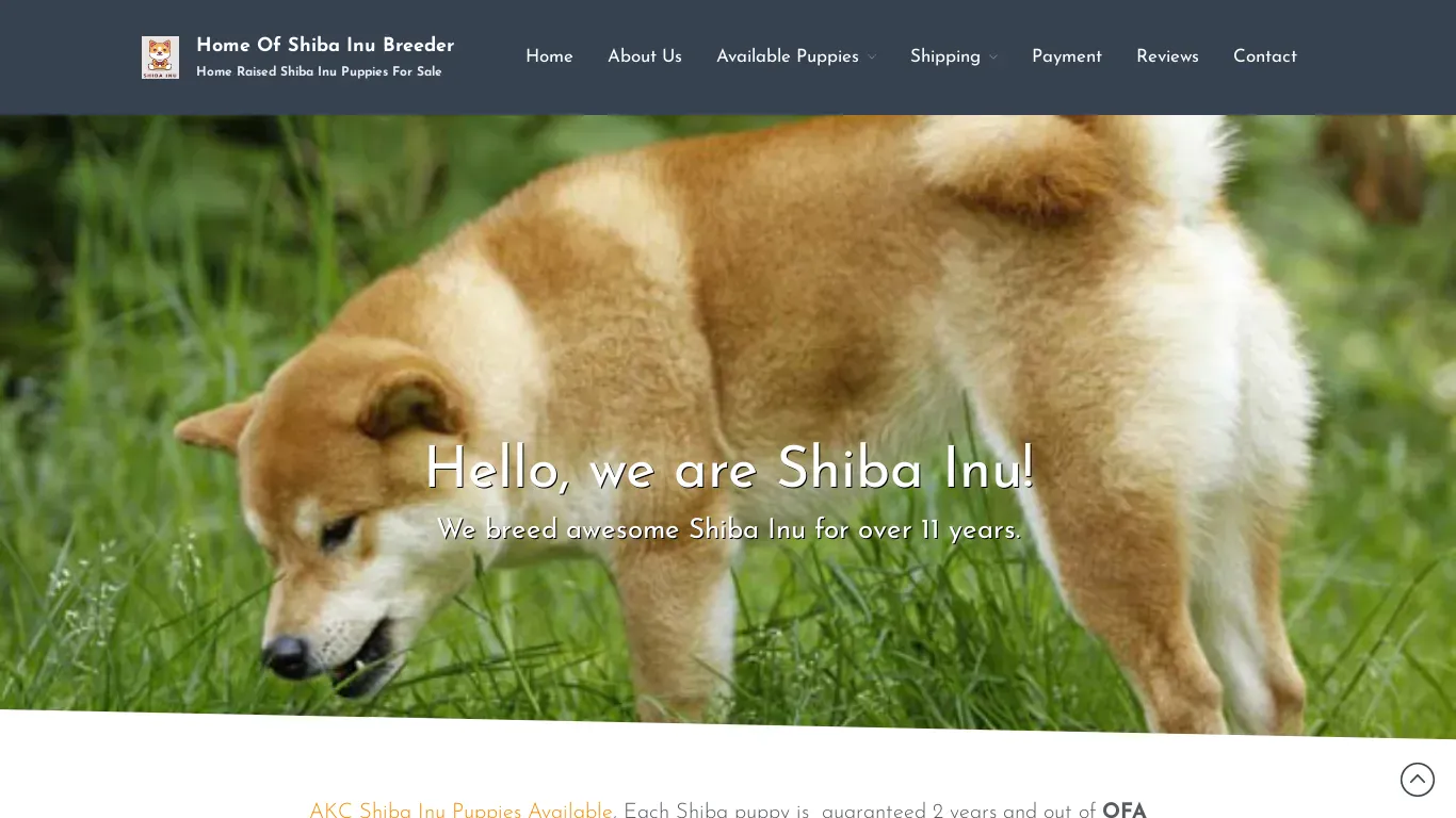 is shibainu4home.com legit? screenshot