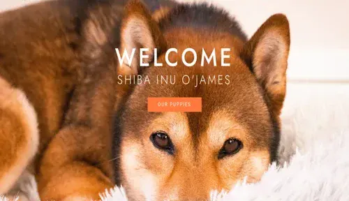 A screenshot of Genlanfamilystbernard.com