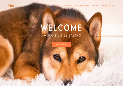 is shibainuodisjames.com legit? screenshot
