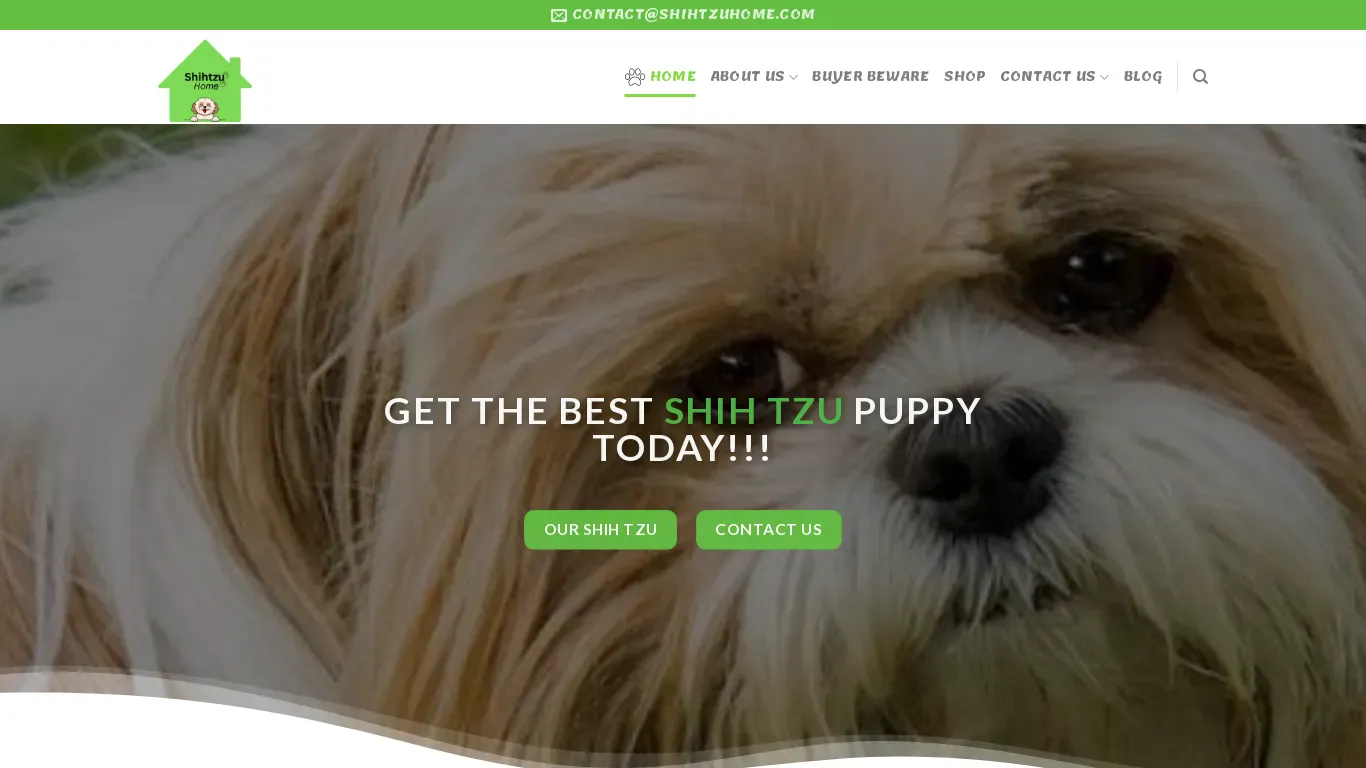 is shihtzuhome.com legit? screenshot