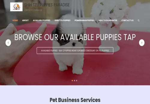 is shihtzupuppiesparadise.pw legit? screenshot