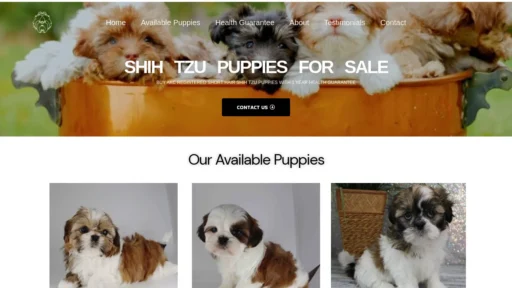 A screenshot of Shihtzupuppiiesforsale.us