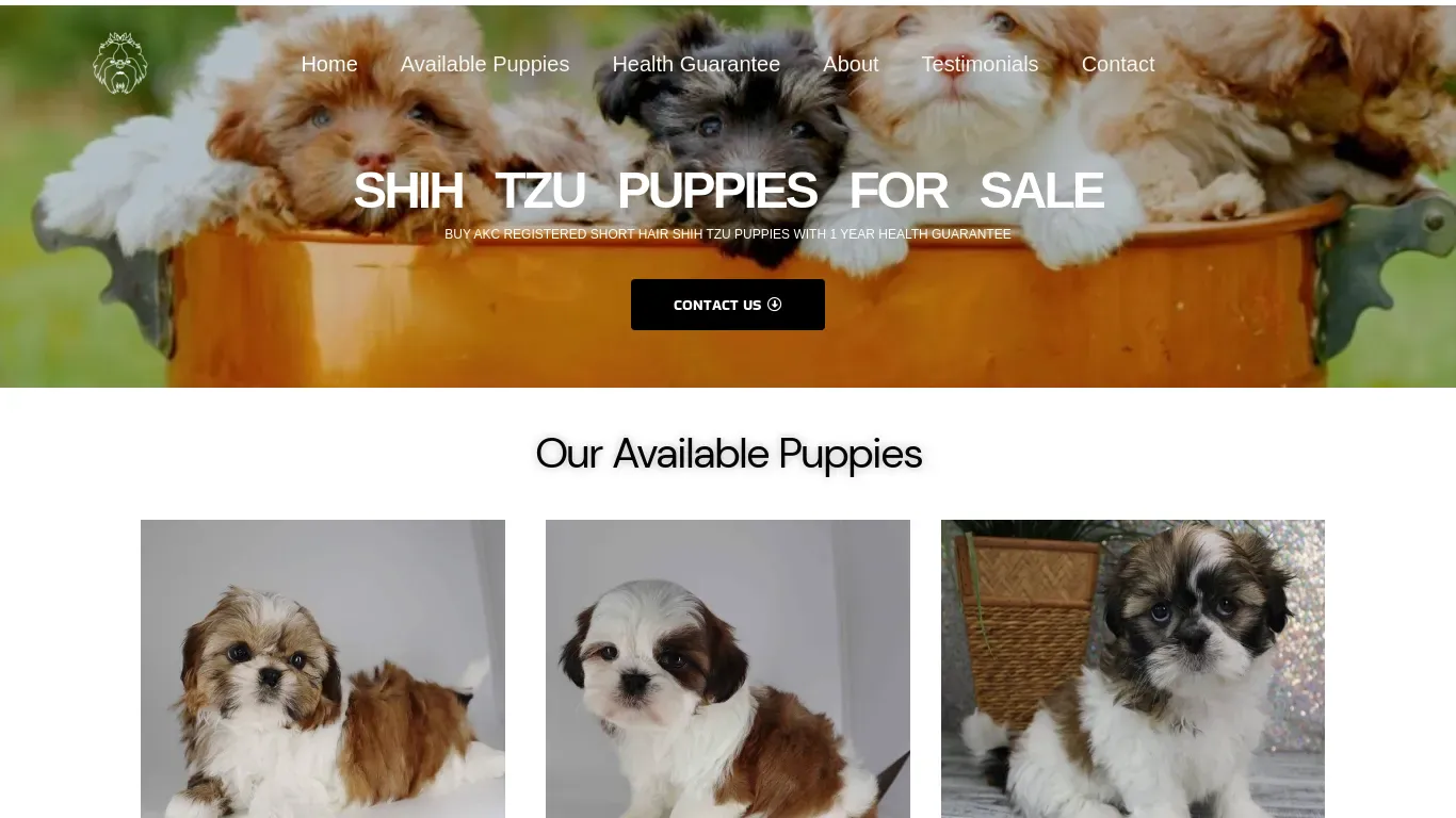 is shihtzupuppiiesforsale.us legit? screenshot