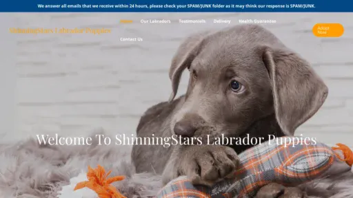 A screenshot of Shinningstarslabradorpuppies.com