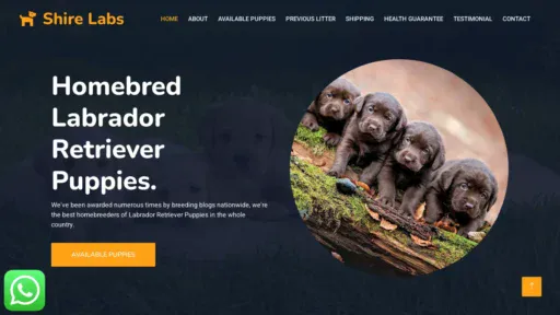 A screenshot of Shirelabradors.online