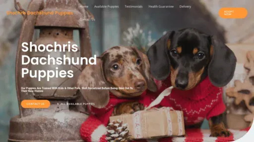 A screenshot of Shochrisdachshundpuppies.com