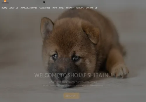 is shojaeshibainu.com legit? screenshot