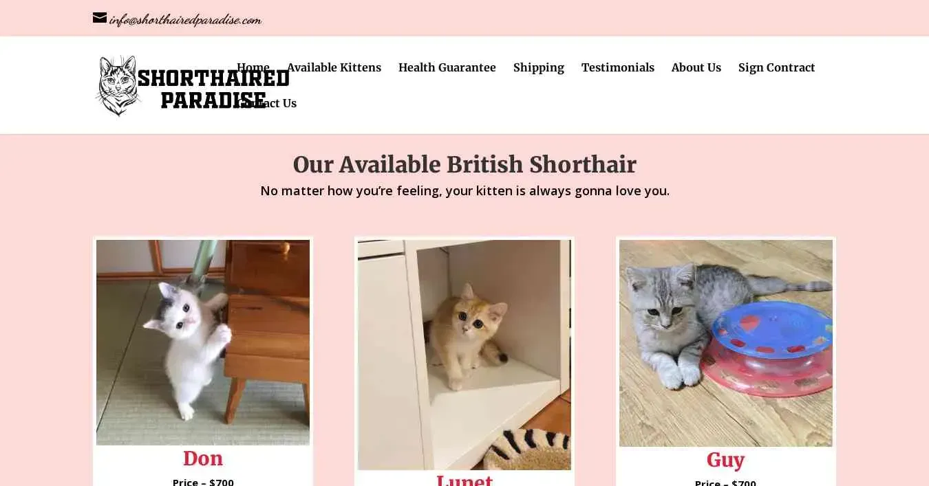 is shorthairedparadise.com legit? screenshot