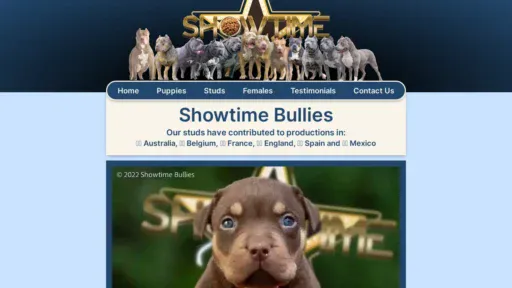 A screenshot of Showtimebullies.com