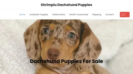 A screenshot of Shrimpludachshundpuppies.com