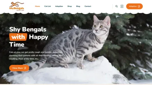 A screenshot of Shybengals.com