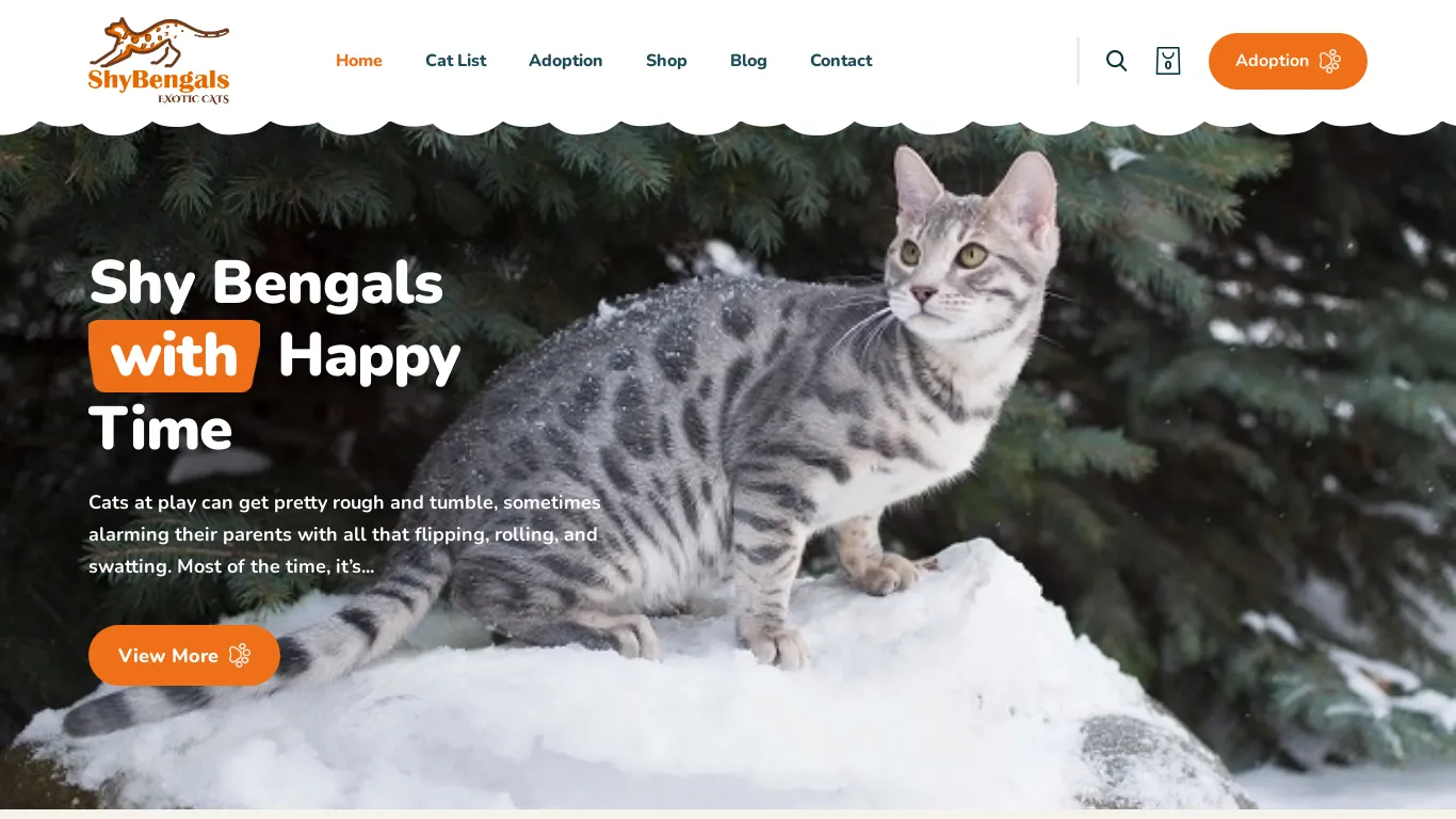 is shybengals.com legit? screenshot