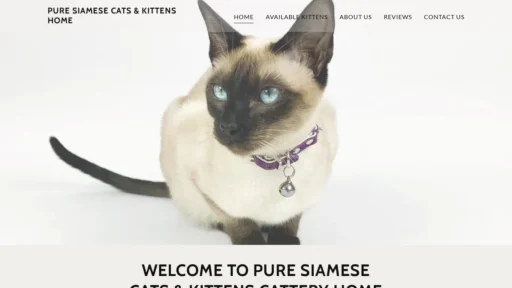 A screenshot of Siamesekittenzforsale.com