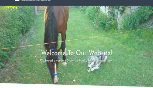 A screenshot of Genlanfamilystbernard.com