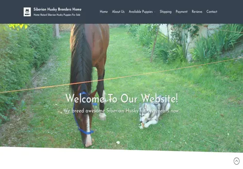 is siberianhuskybreedernearme.com legit? screenshot