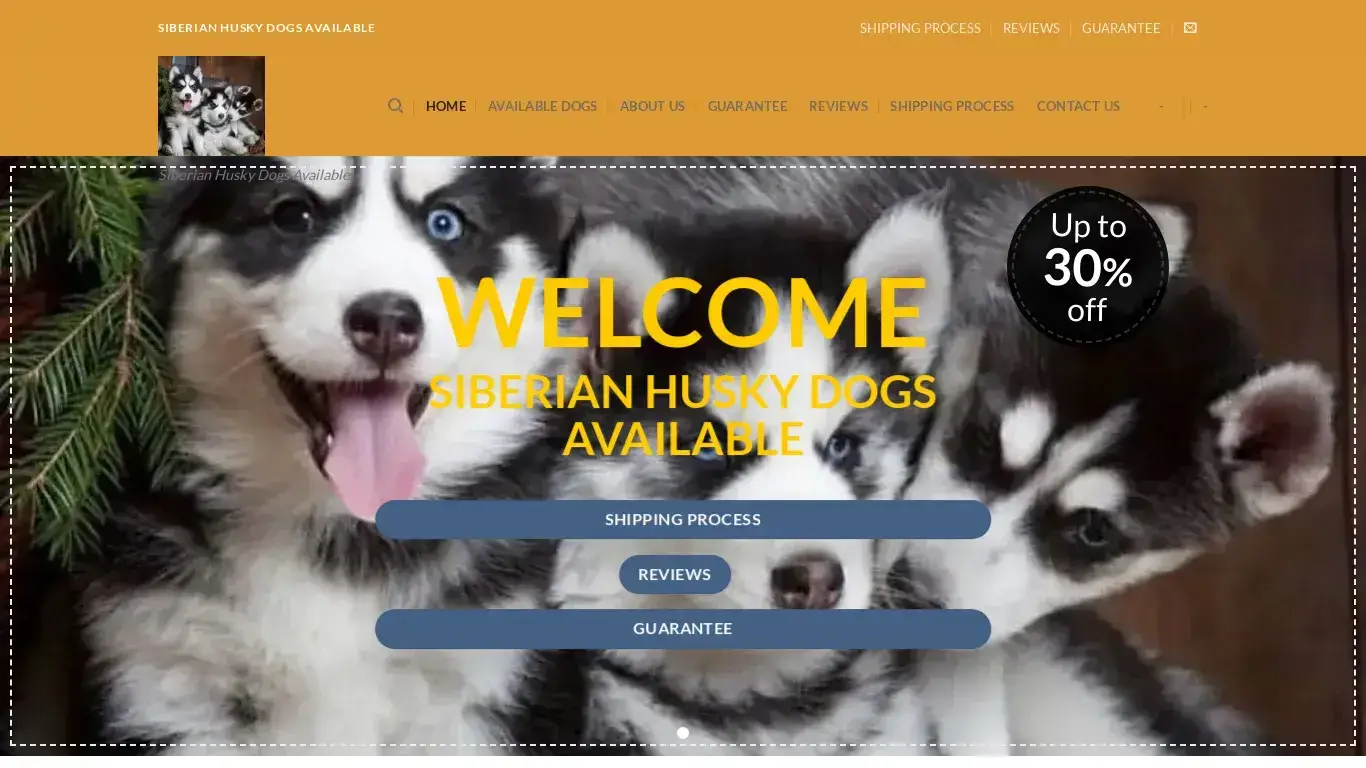 is Siberian Husky Dogs Available – Siberian Husky Dogs Available legit? screenshot