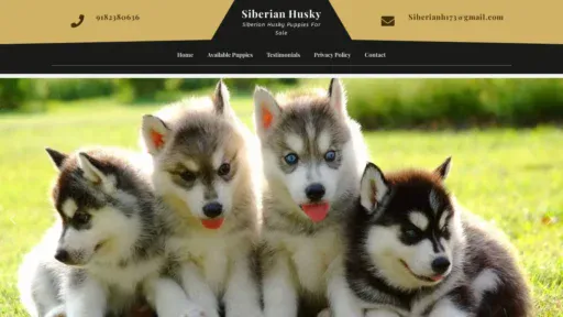A screenshot of Siberianhuskypupforsale.com