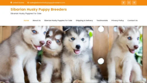 A screenshot of Siberianhuskypuppybreeders.com