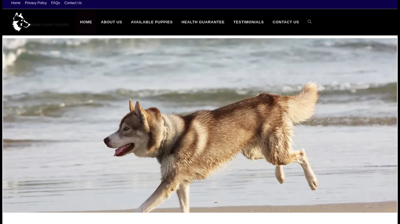 is siberianhuskysnow.com legit? screenshot