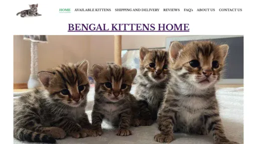 A screenshot of Silkkittenscattery.com