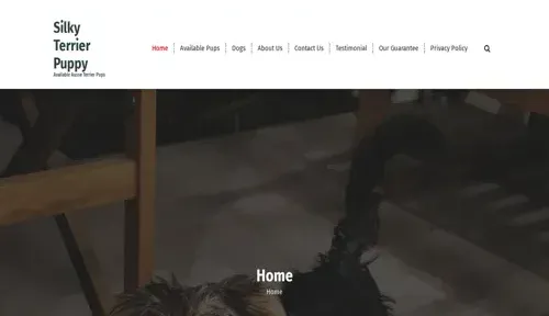 A screenshot of Genlanfamilystbernard.com