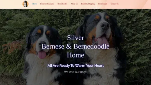 A screenshot of Silverbernesehome.com