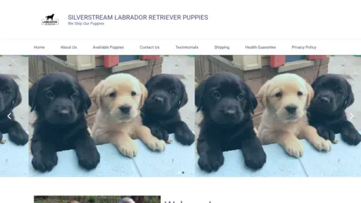 A screenshot of Silverstreamlabradorpuppies.com