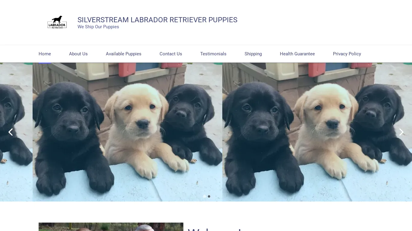 is silverstreamlabradorpuppies.com legit? screenshot