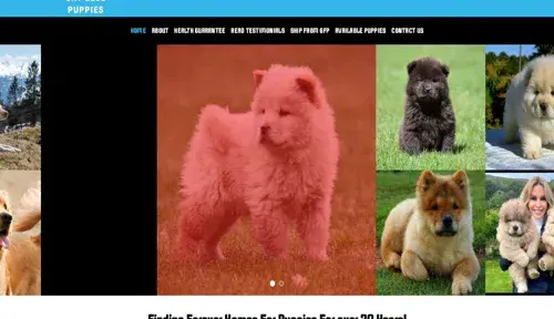 A screenshot of Genlanfamilystbernard.com
