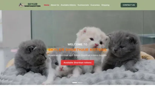 A screenshot of Skylershorthairkittens.com