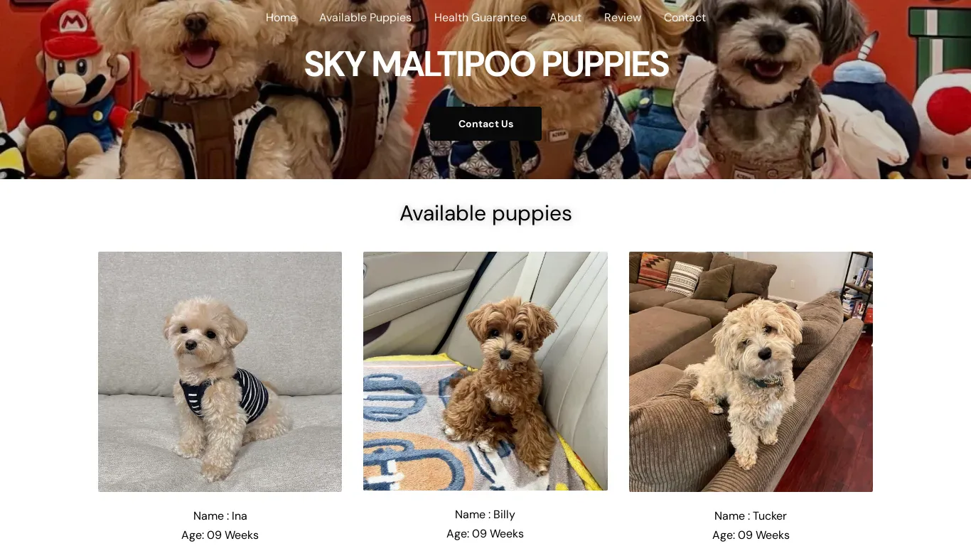 is skymaltipoo.com legit? screenshot